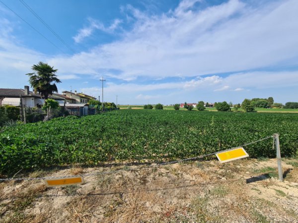terreno edificabile in vendita a Montagnana
