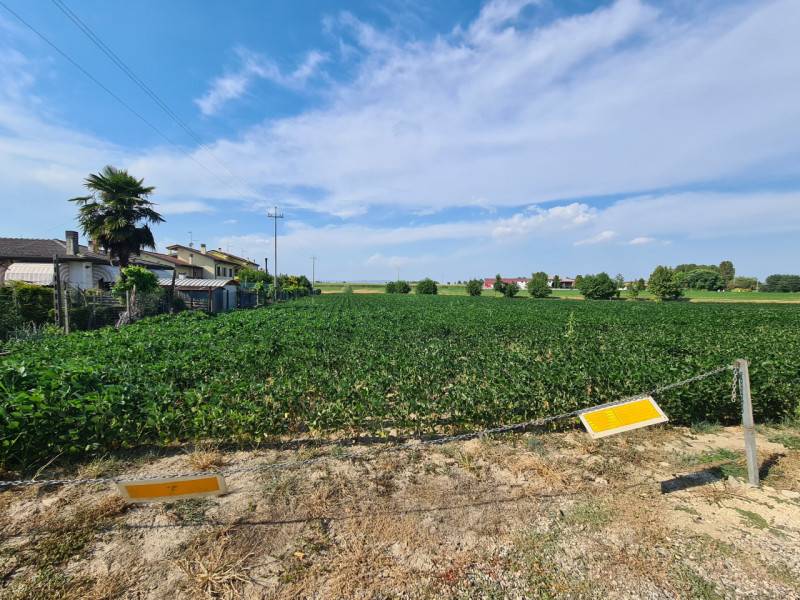 terreno edificabile in vendita a Montagnana