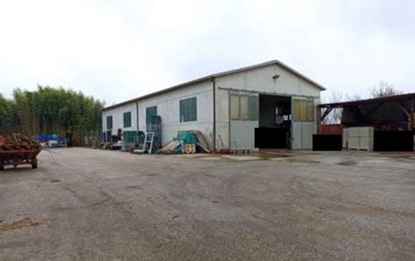 terreno agricolo in vendita a Montagnana