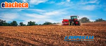 terreno agricolo in vendita a Montagnana