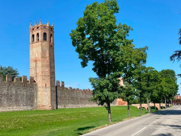 appartamento in vendita a Montagnana