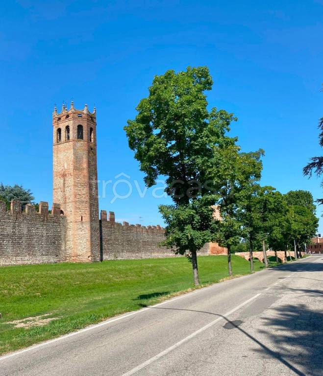 appartamento in vendita a Montagnana