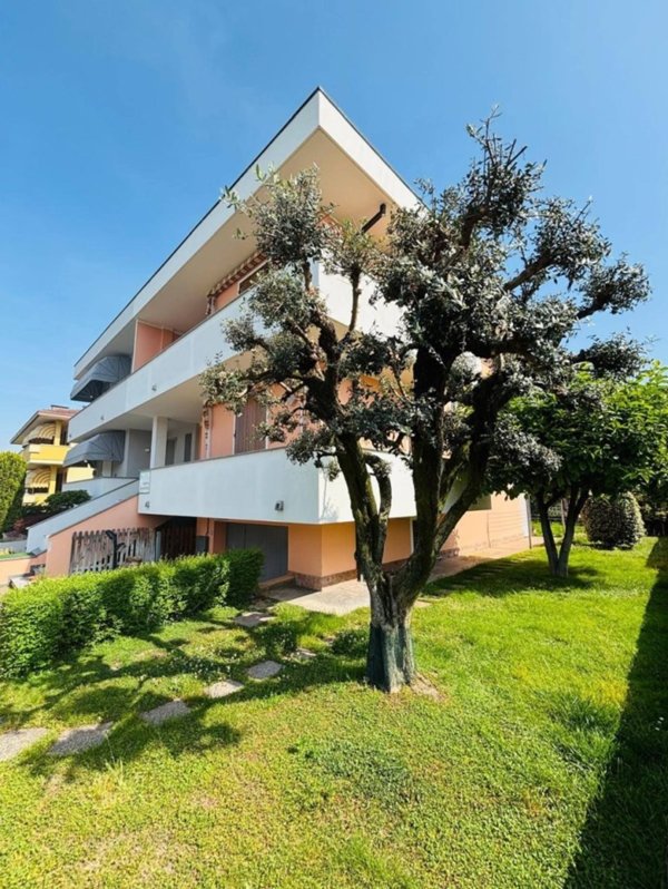 casa indipendente in vendita a Montagnana