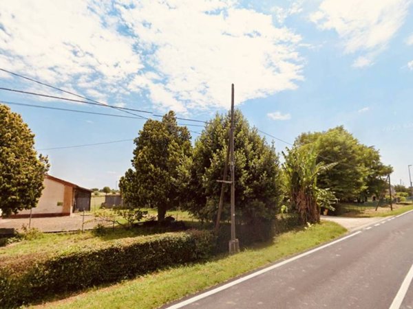 terreno agricolo in vendita a Montagnana