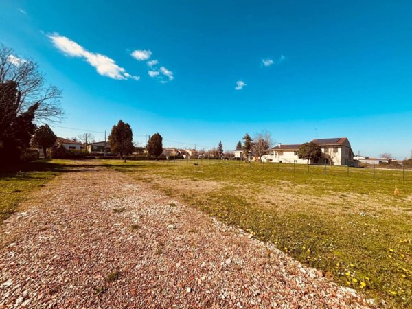 terreno agricolo in vendita a Montagnana