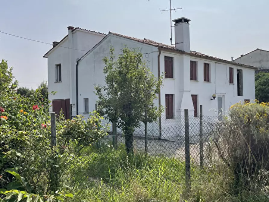 casa indipendente in vendita a Montagnana