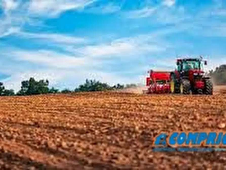 terreno agricolo in vendita a Montagnana