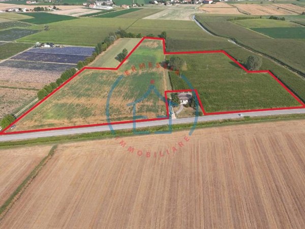 terreno agricolo in vendita a Montagnana