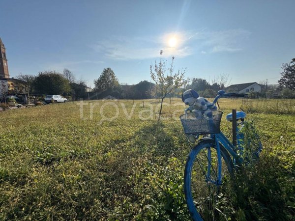 terreno agricolo in vendita a Montagnana