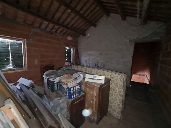 esavano in vendita a Montagnana