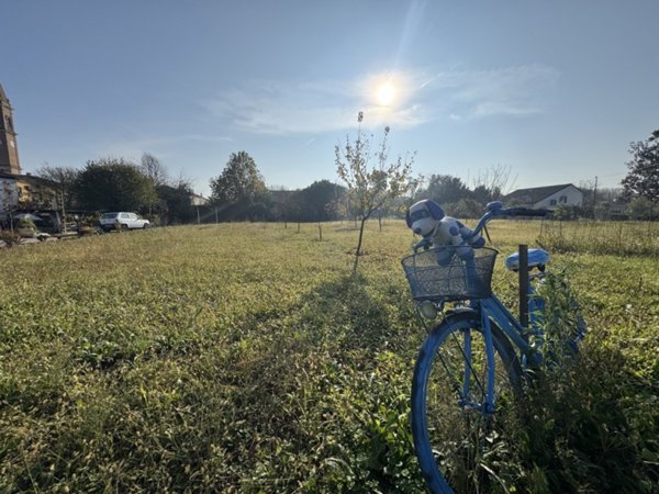 terreno agricolo in vendita a Montagnana