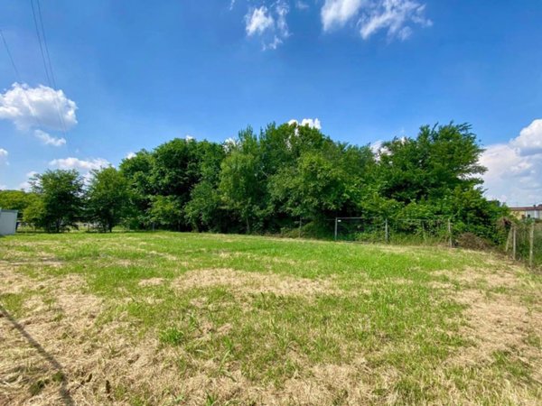 terreno edificabile in vendita a Montagnana