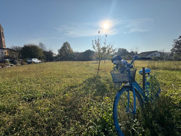 casa indipendente in vendita a Montagnana