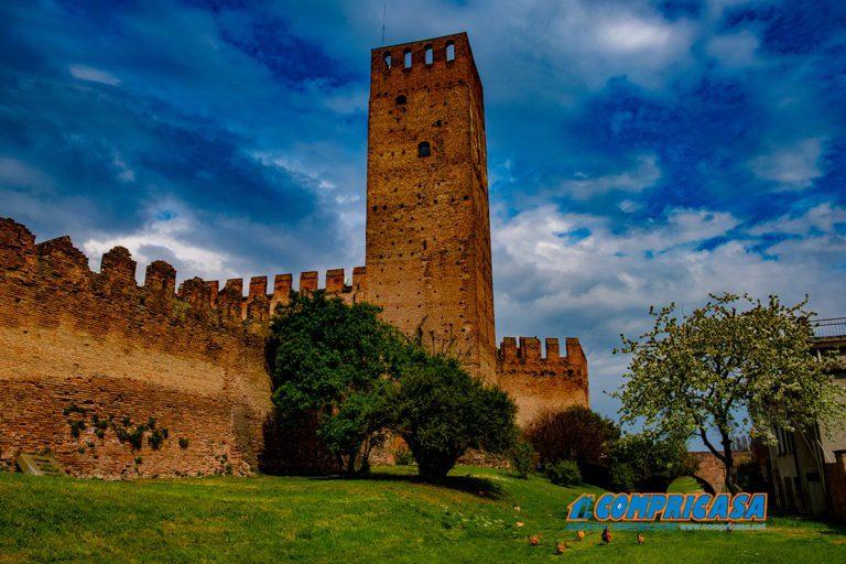 negozio in vendita a Montagnana