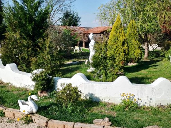 casa indipendente in vendita a Montagnana