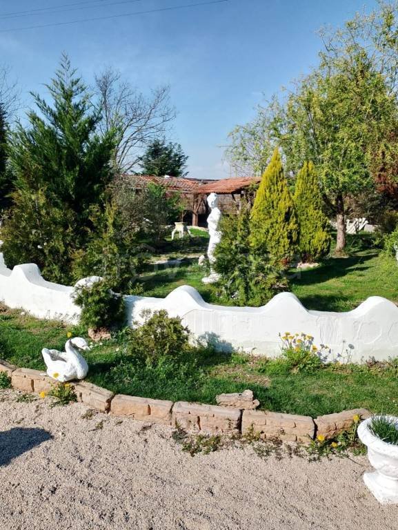 casa indipendente in vendita a Montagnana