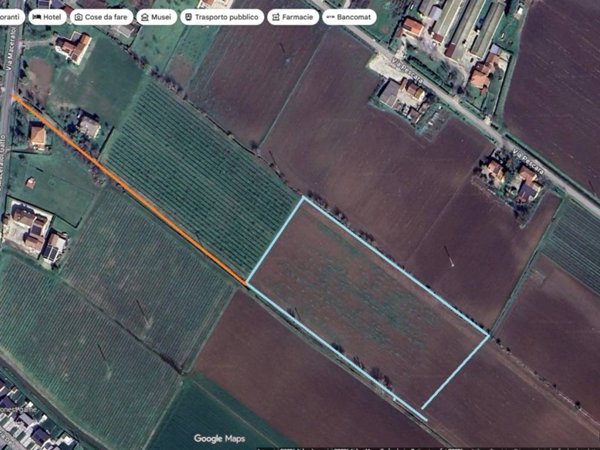 terreno agricolo in vendita a Montagnana