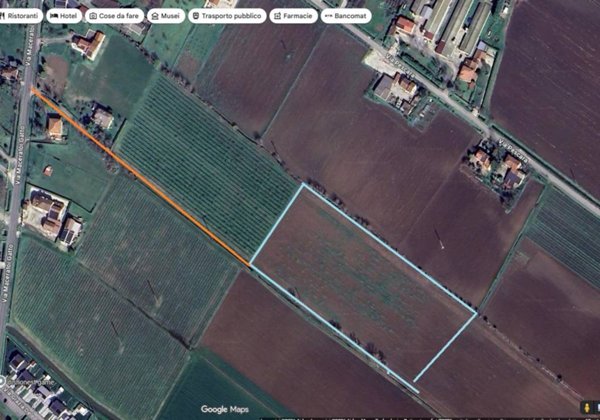 terreno agricolo in vendita a Montagnana