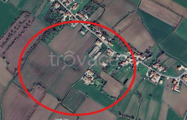 terreno agricolo in vendita a Montagnana in zona Borgo San Marco