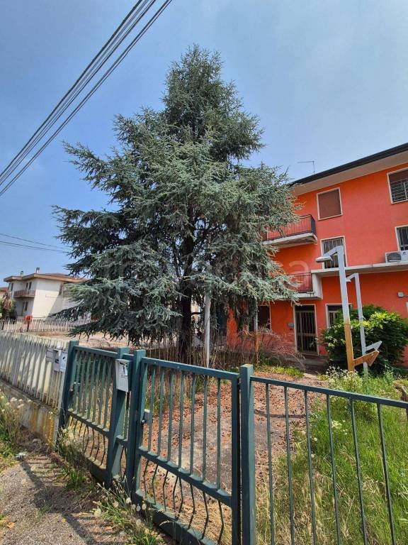 locale commerciale in vendita a Montagnana