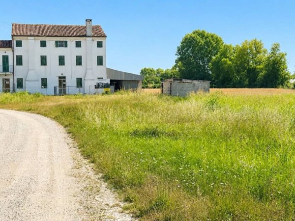 casa indipendente in vendita a Montagnana in zona Borgo San Marco