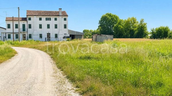 casa indipendente in vendita a Montagnana in zona Borgo San Marco