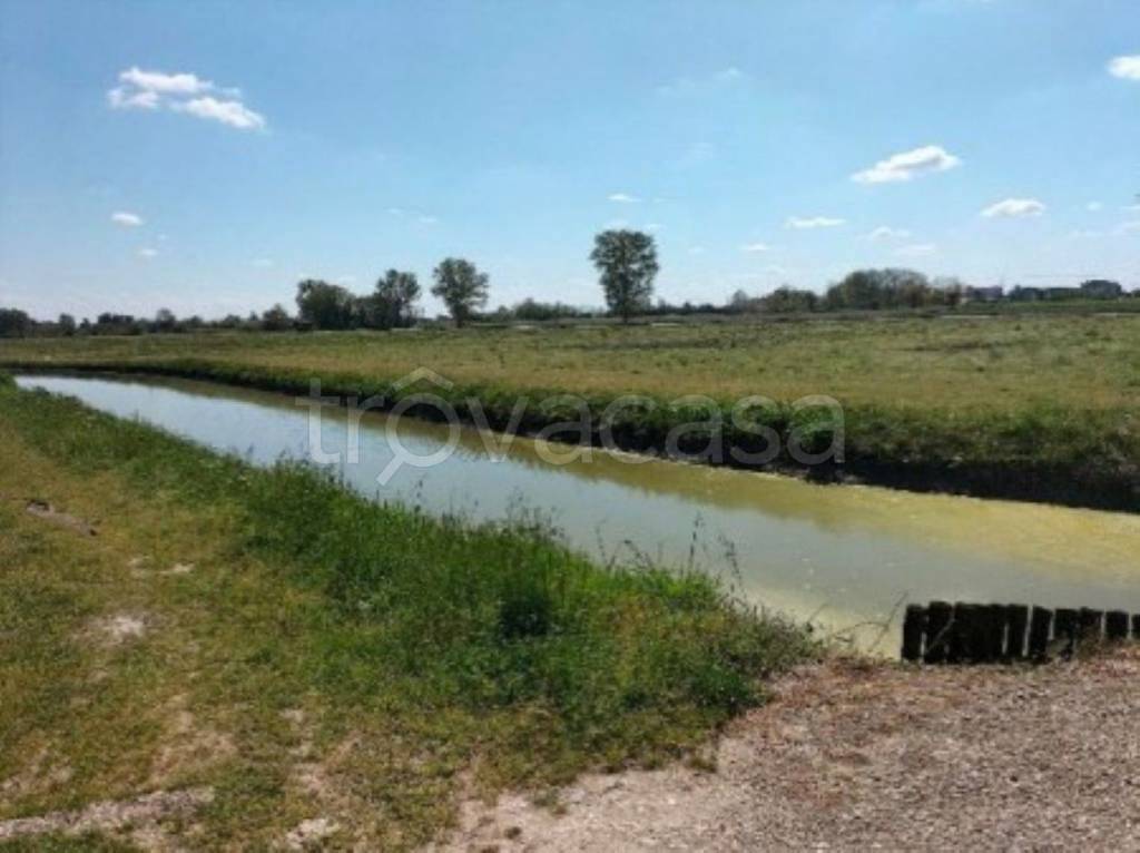 terreno agricolo in vendita a Montagnana in zona Borgo San Marco