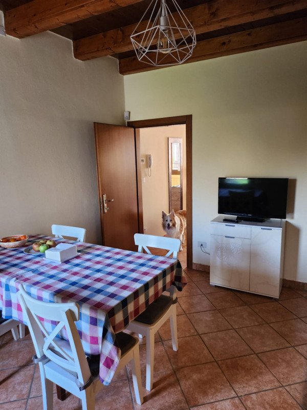 casa indipendente in vendita a Montagnana in zona Borgo San Marco