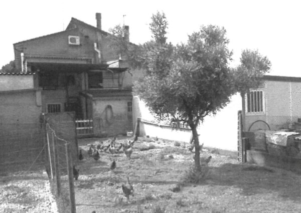 appartamento in vendita a Montagnana in zona Borgo San Marco