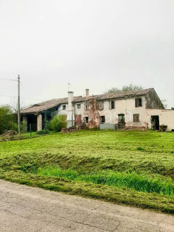 casa indipendente in vendita a Montagnana