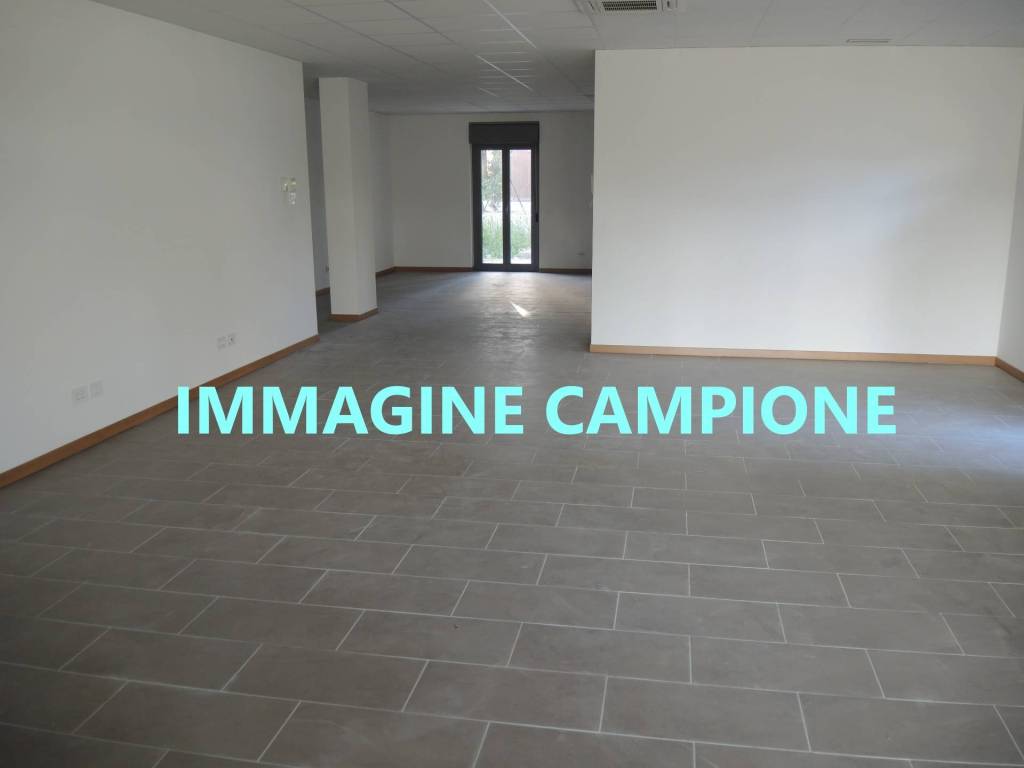 negozio in vendita a Montegrotto Terme