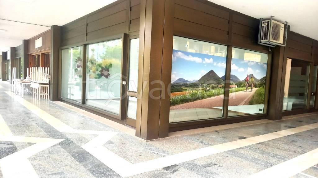 appartamento in vendita a Montegrotto Terme