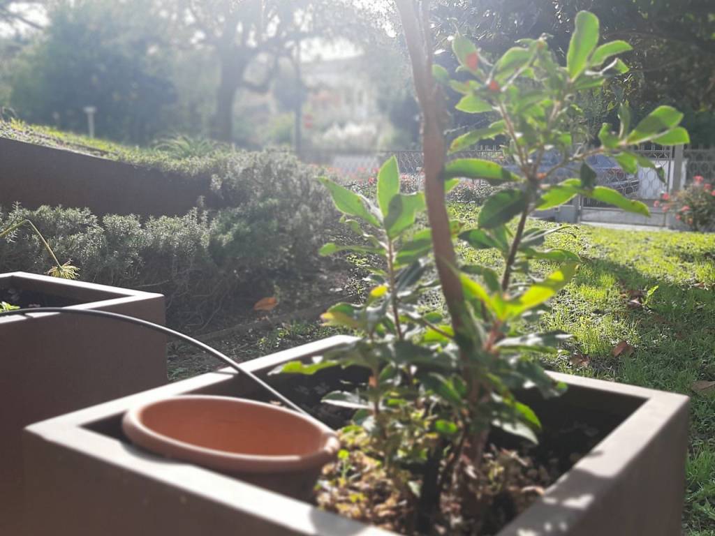 casa indipendente in vendita a Montegrotto Terme