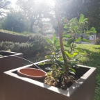 immagine annuncio 0 di 8