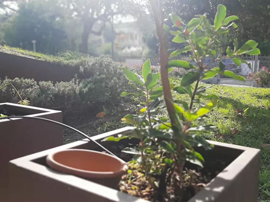 casa indipendente in vendita a Montegrotto Terme