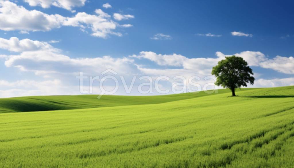 casa indipendente in vendita a Montegrotto Terme