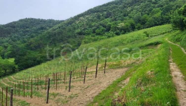 appartamento in vendita a Montegrotto Terme