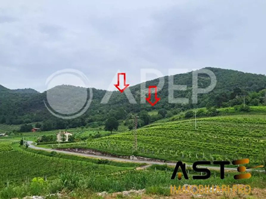terreno agricolo in vendita a Montegrotto Terme