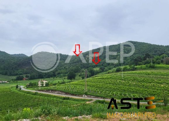 terreno agricolo in vendita a Montegrotto Terme