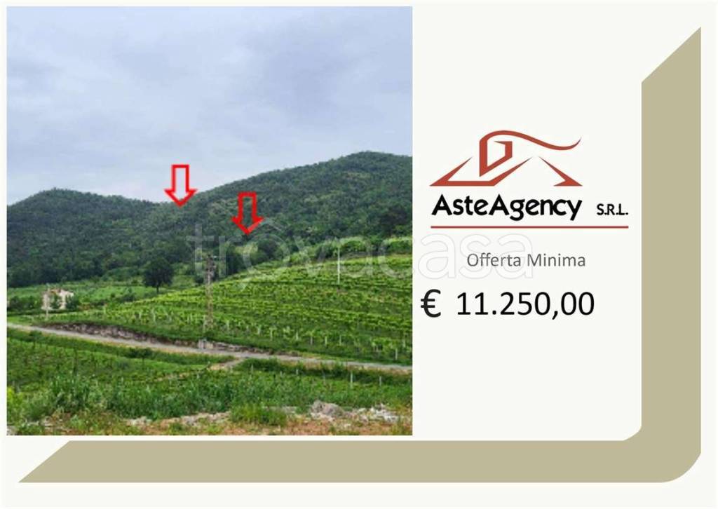terreno agricolo in vendita a Montegrotto Terme