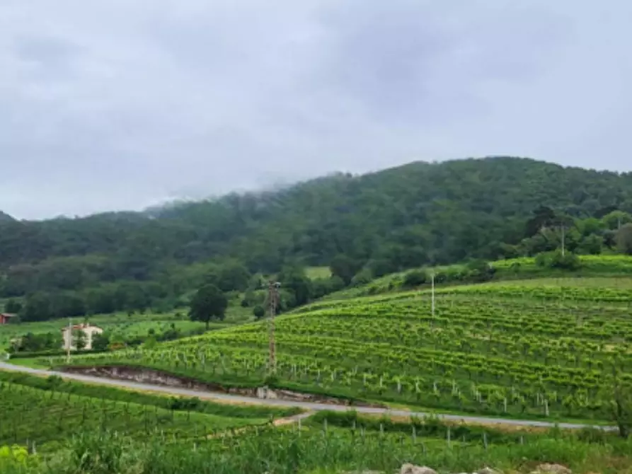 terreno agricolo in vendita a Montegrotto Terme