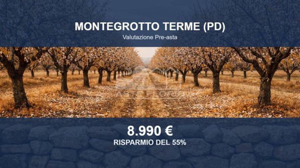 terreno edificabile in vendita a Montegrotto Terme