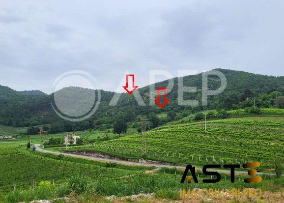 terreno agricolo in vendita a Montegrotto Terme in zona Mezzavia