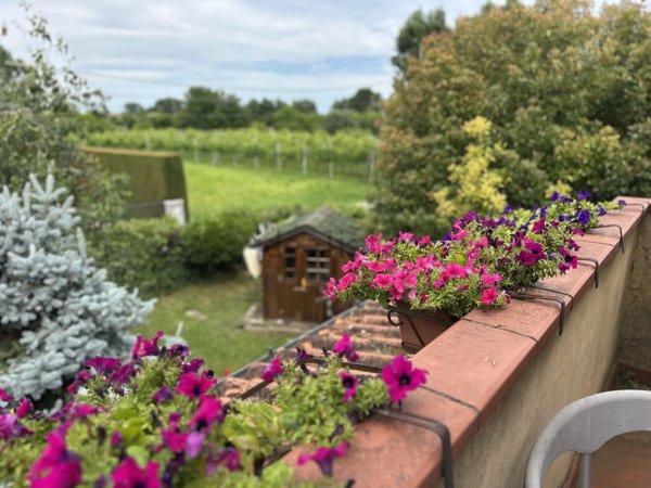 casa indipendente in vendita a Montegrotto Terme