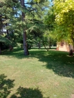 casa indipendente in vendita a Montegrotto Terme