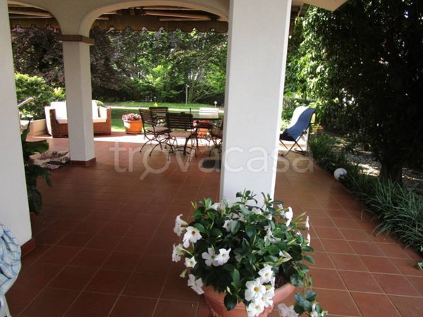 casa indipendente in vendita a Noventa Padovana in zona Noventana