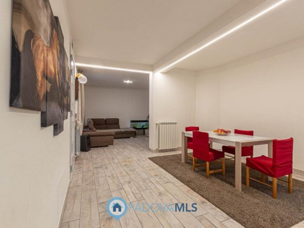 casa indipendente in vendita a Noventa Padovana in zona Noventana