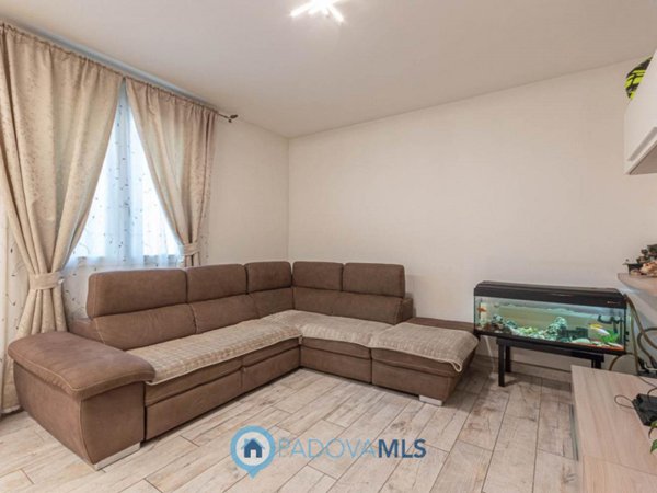 casa indipendente in vendita a Noventa Padovana in zona Noventana