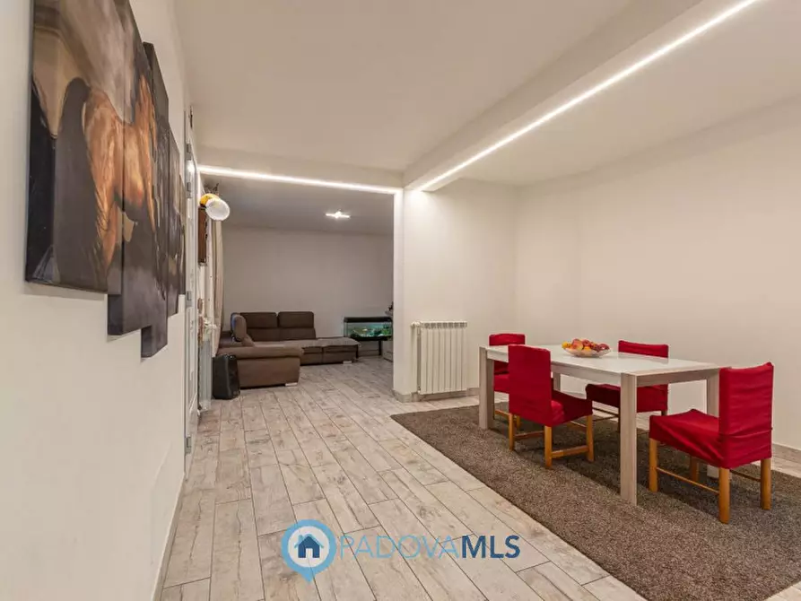 casa indipendente in vendita a Noventa Padovana in zona Noventana