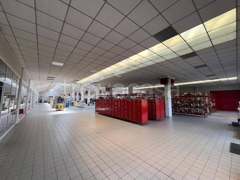 terreno edificabile in vendita a Noventa Padovana in zona Noventana